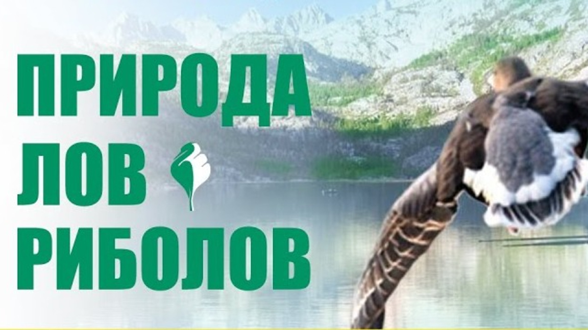 В Панаира се откриват изложбите "Природа, лов, риболов" и "Цветна пролет"