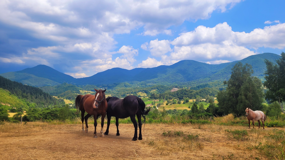 Météo : Mardi ensoleillé, jusqu’à 20°C a...