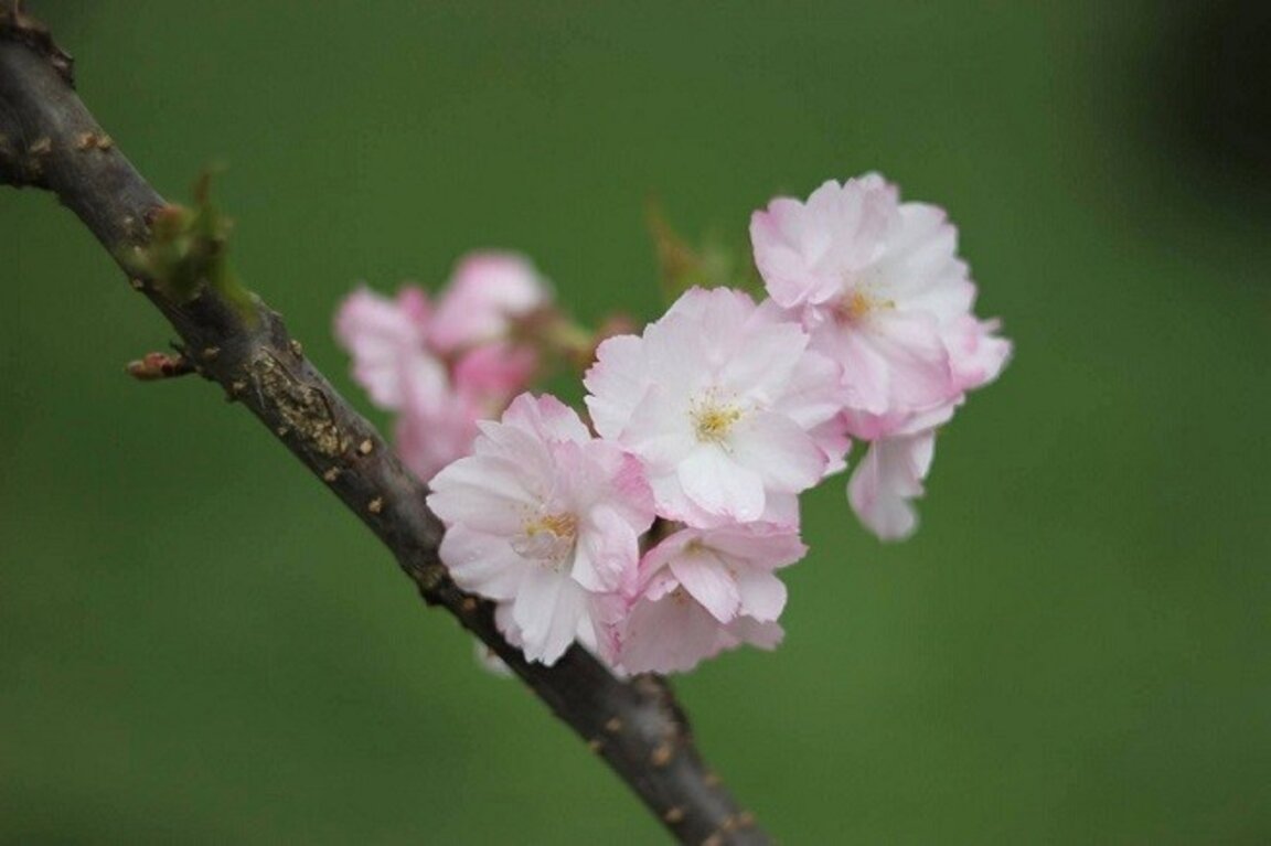Поредно отличие за Владислав Христов от престижен конкурс