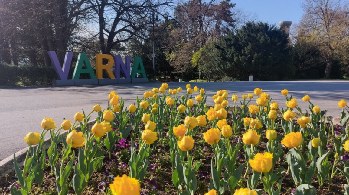 Варна