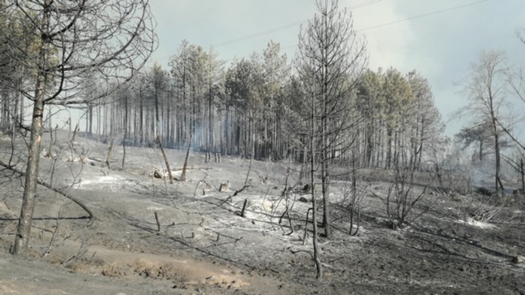 През целия ден продължи гасенето на тлеещи огнища във вътрешността на пожара в Пирин