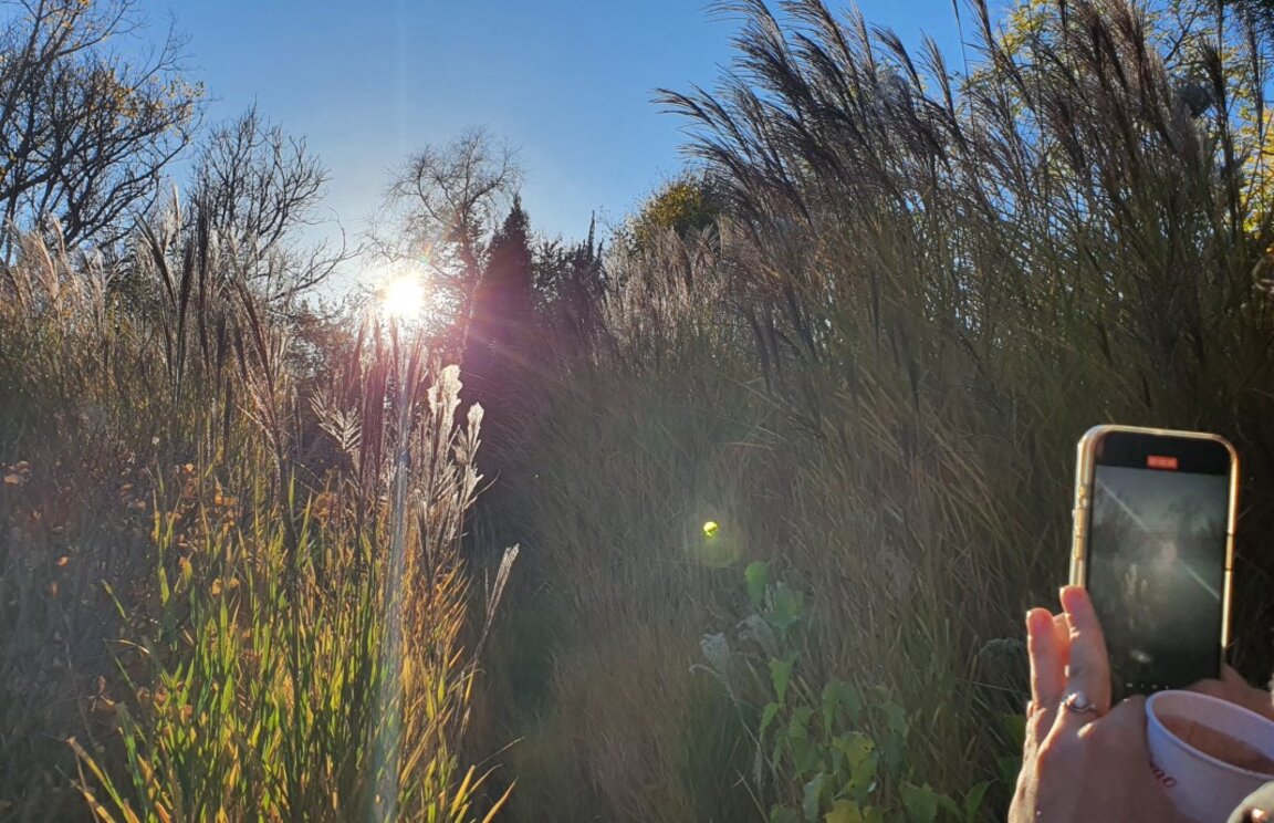 The sun also rises on Wednesday