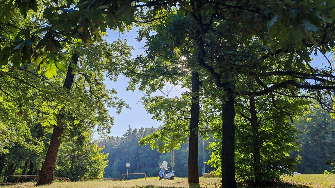 Wetteraussichten für das Wochenende