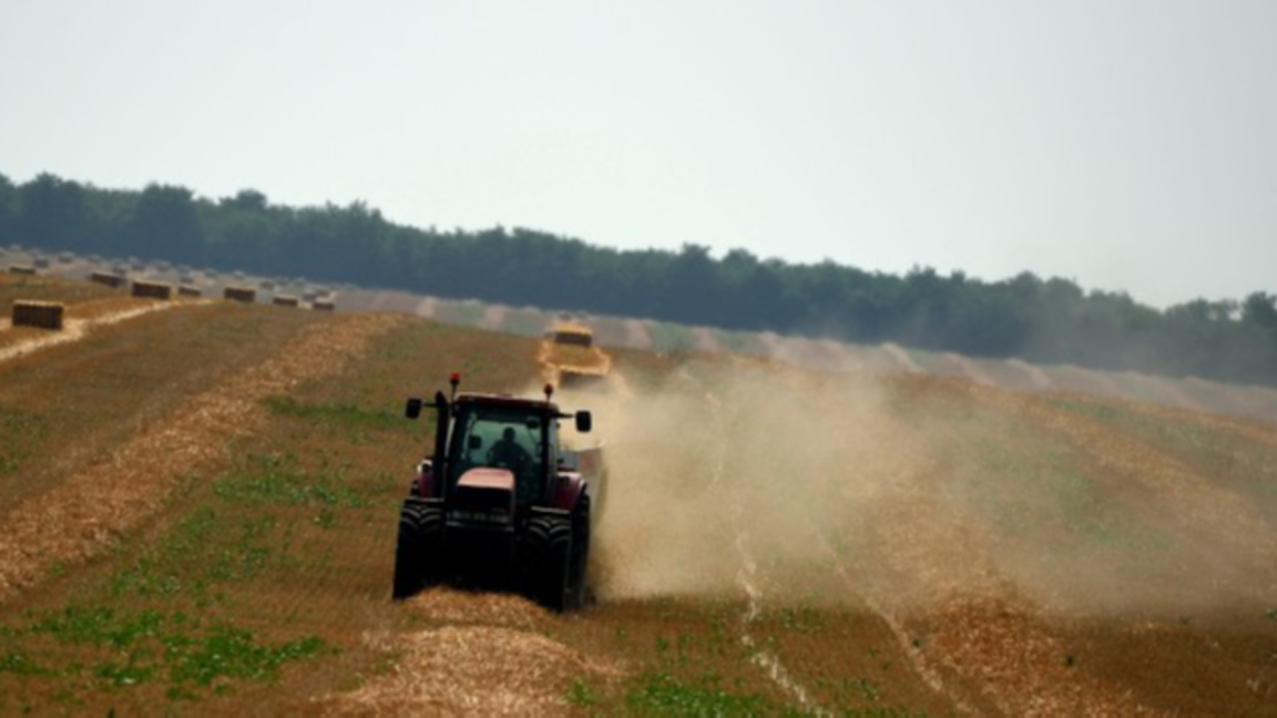 Не се очаква недостиг на торове за бъдещата кампания