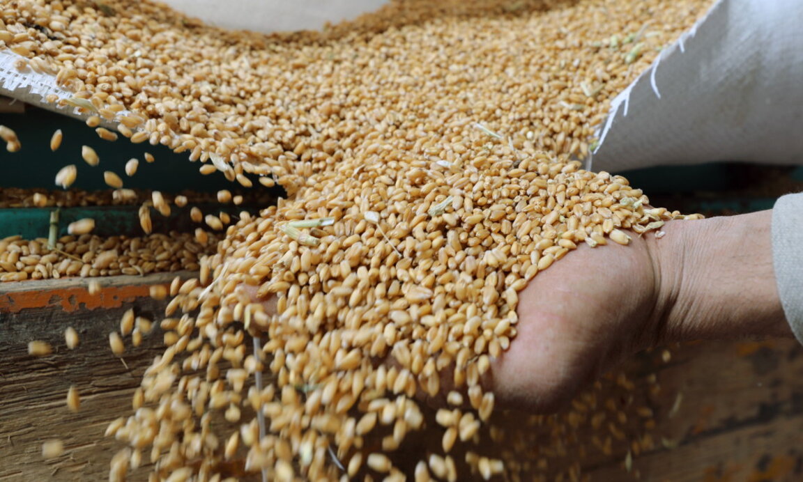Miniștrii agriculturii din Bulgaria și Ucraina discută despre exportul de produse agricole din Ucraina