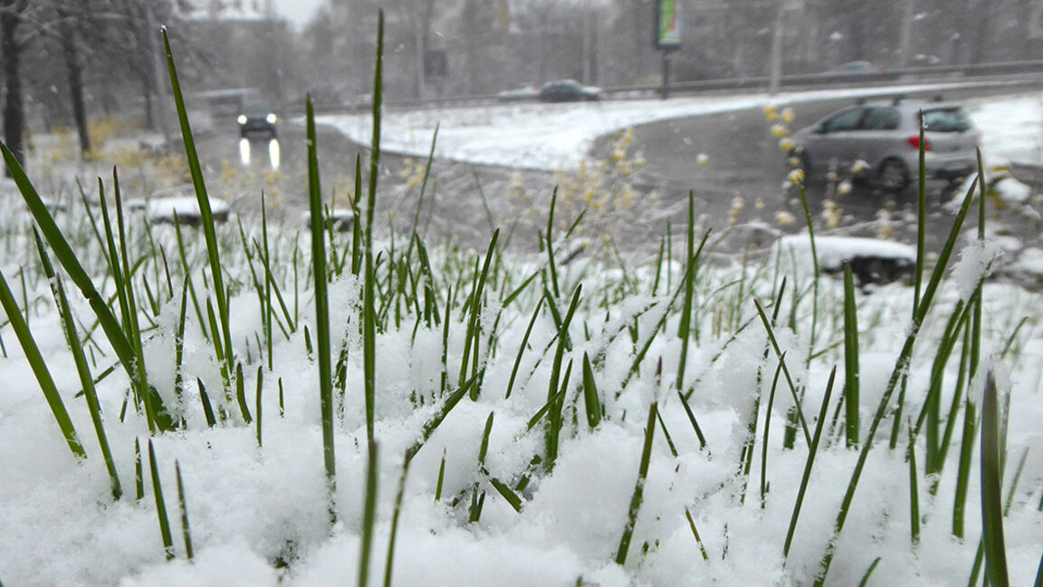 Météo : Pluie et neige mêlées…