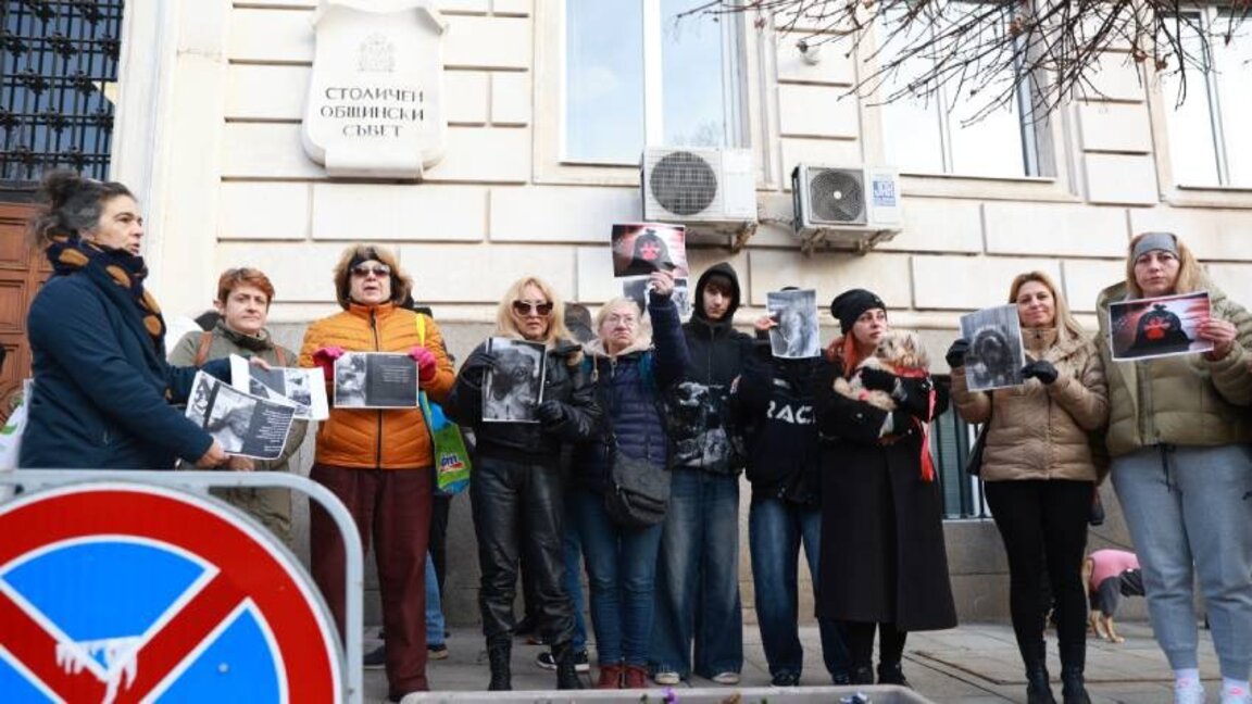 Citizens demand humane conditions in municipal animal shelters