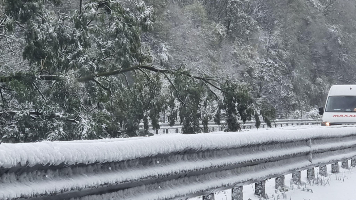 Ограничения за камиони над 12 тона на АМ "Хемус" в областите София и Ловеч 