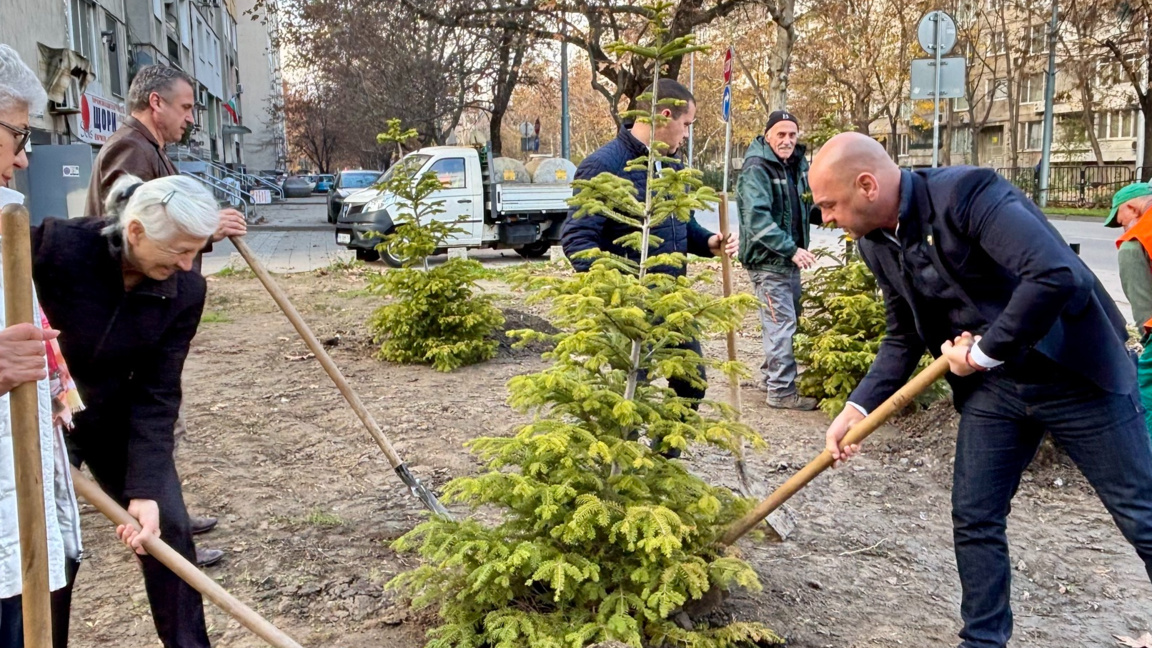 Пловдив става по-зелен, засадиха още 1000 дръвчета