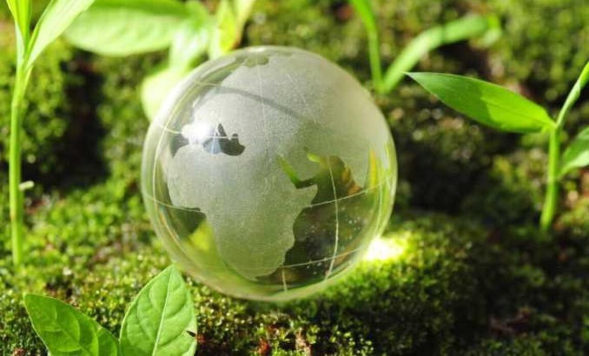 Екологията като емоция – природата като дом