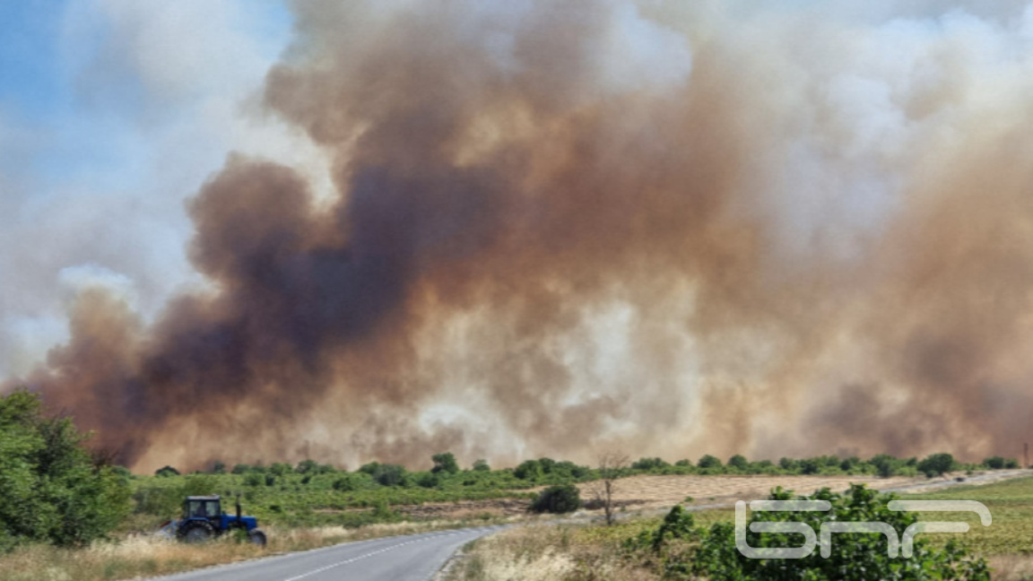 Козарево (архив)