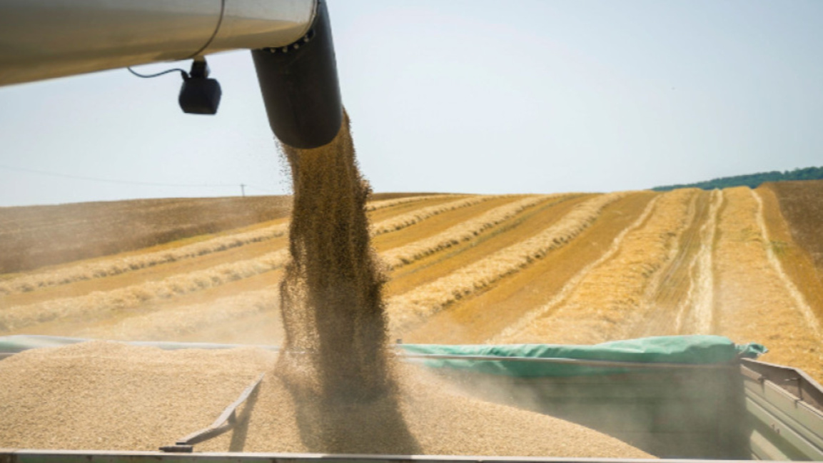 Цените на зърното по борсите вървят нагоре