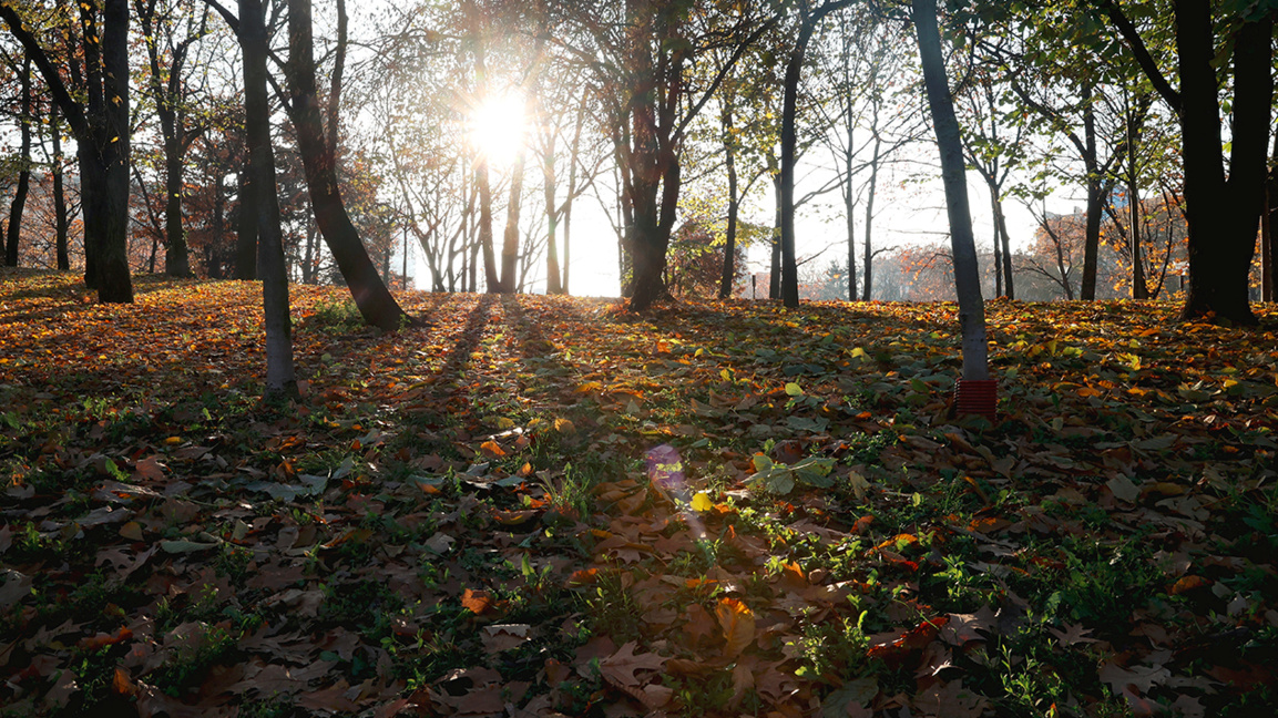 Météo: soleil hivernal