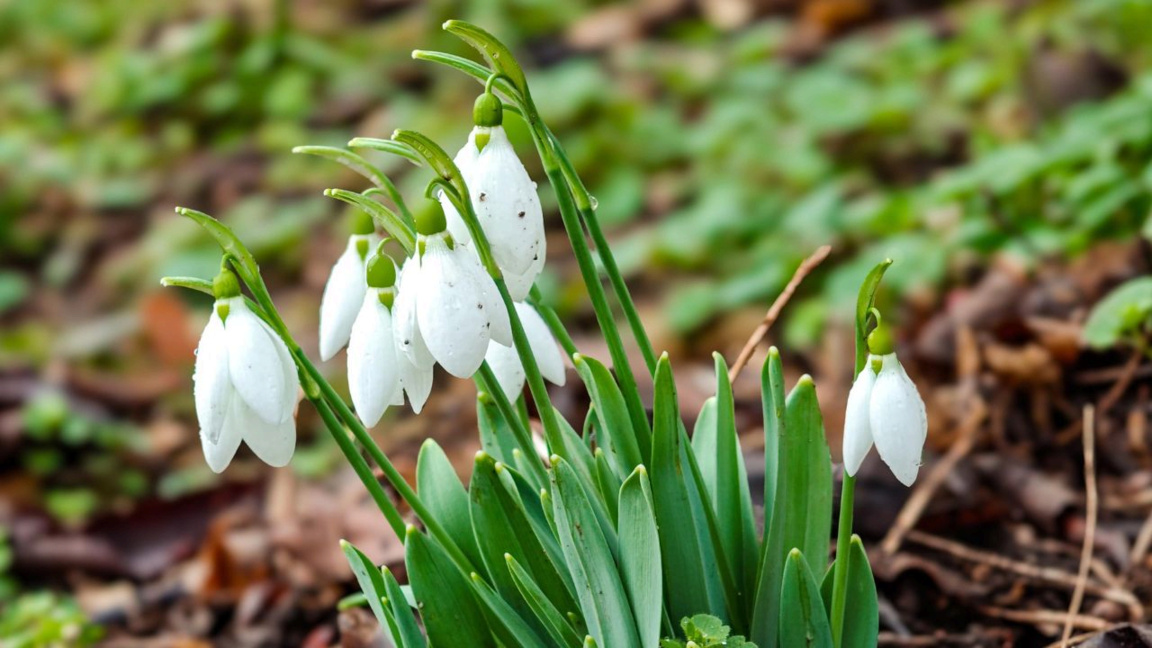 Météo: Températures en hausse et ciel dégagé