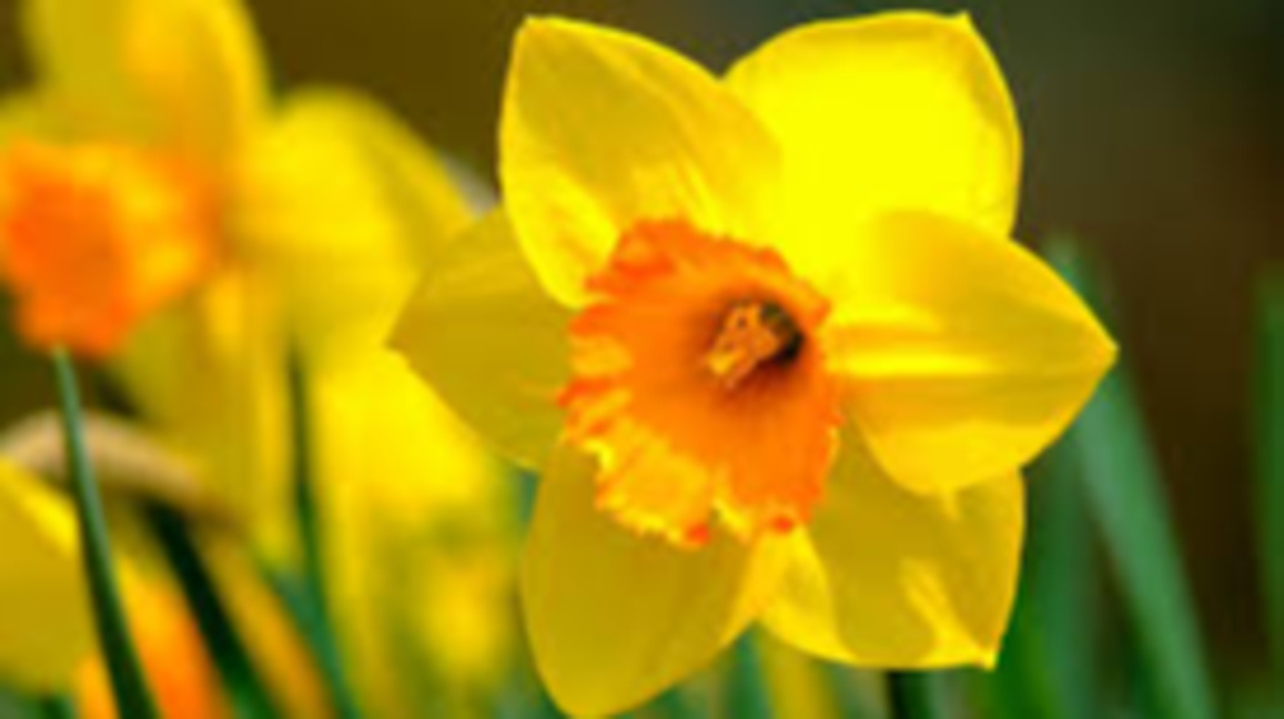 Слънчева и топла събота