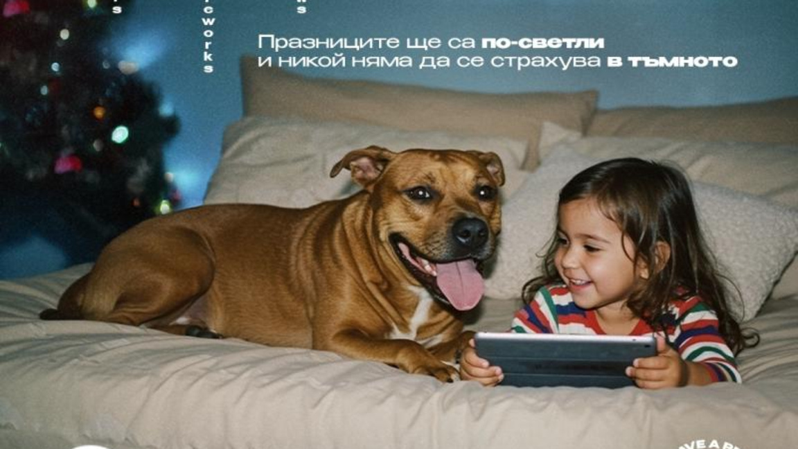 От "Четири лапи" призовават за светли и тихи празници, без страх и пиротехника
