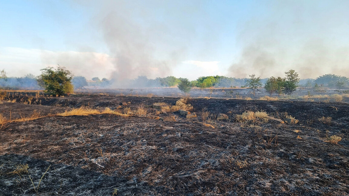 Болгария – страна ЕС, наиболее серьезно пострадавшая от пожаров в 2024–2025 г.