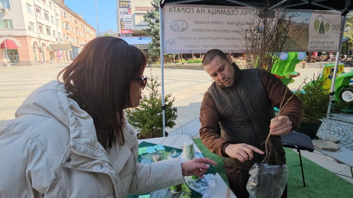 Раздаваха фиданки в Сливен