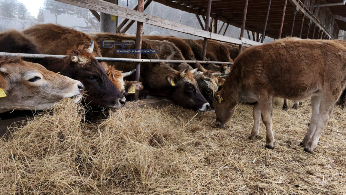 Снимката е илюстративна