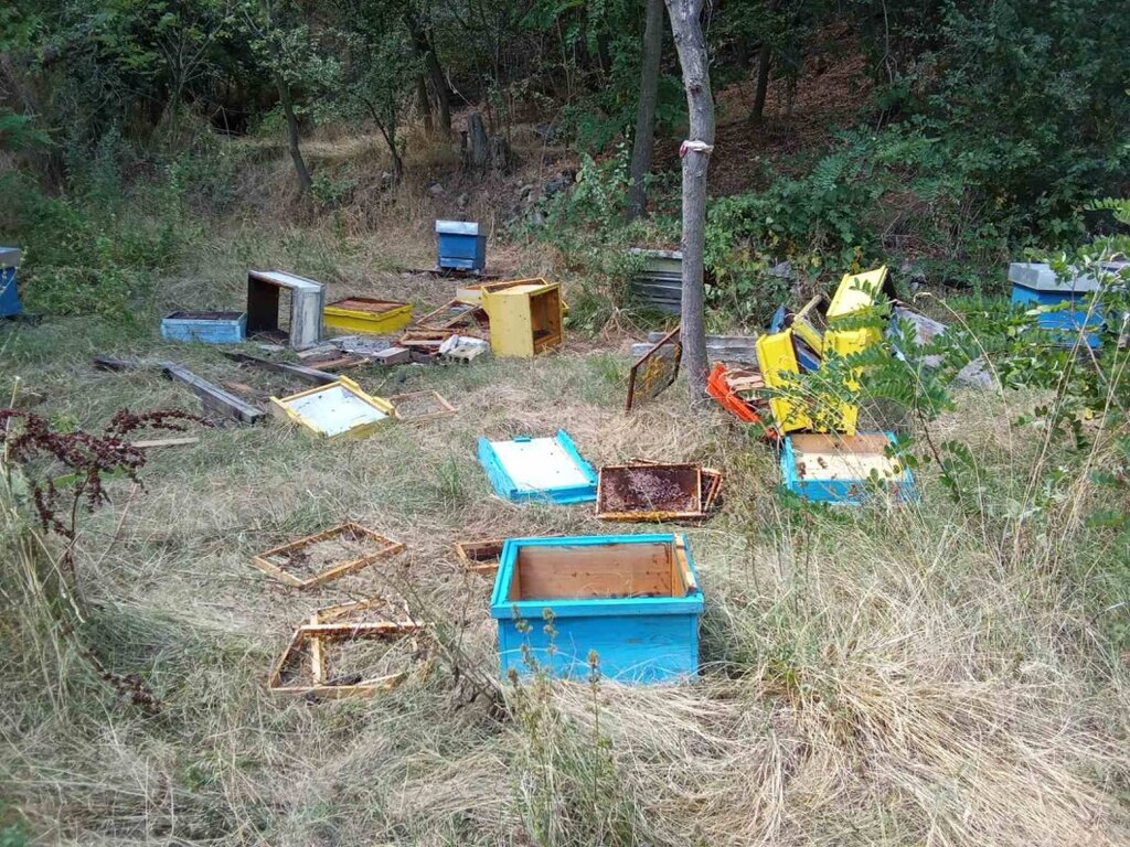Мечета унищожиха кошери край Шипка
