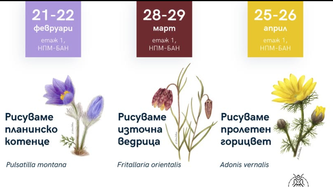 Организират работилници за научна ботаническа илюстрация