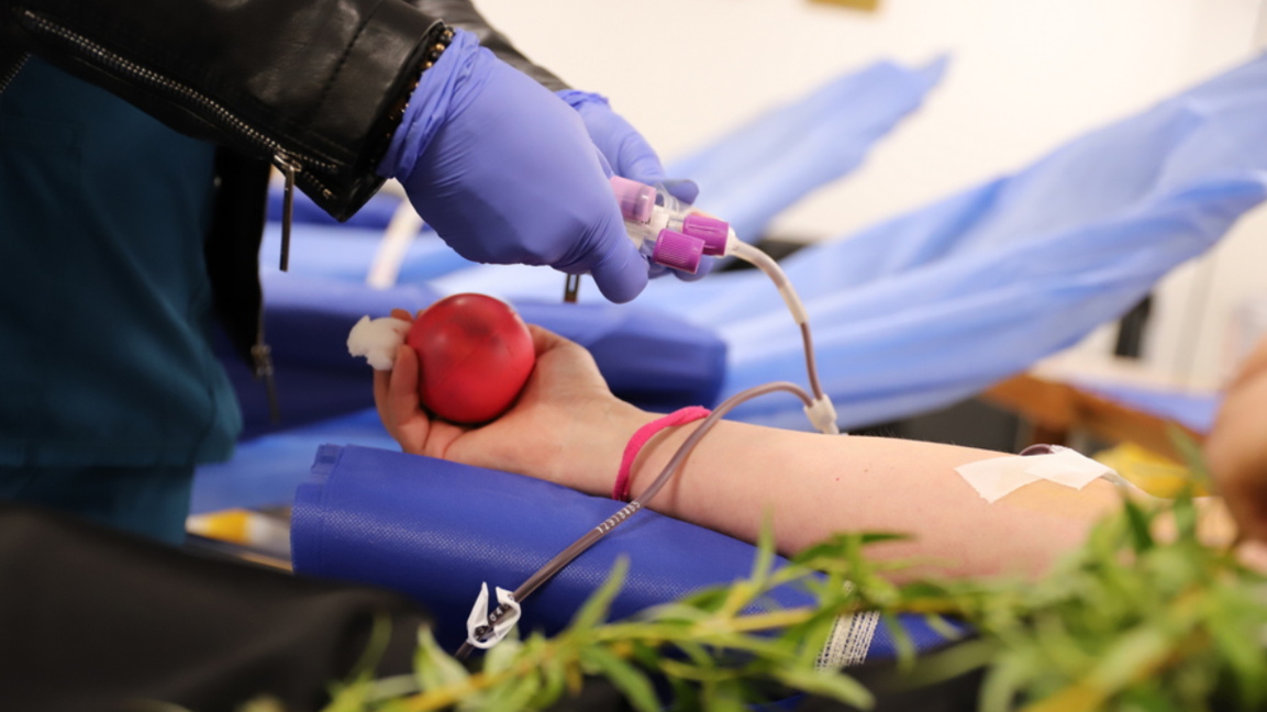 World Blood Donor Day: A drop of humanity can save a life