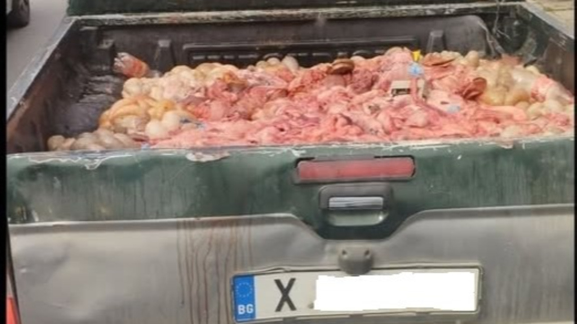 Глоба за незаконен превоз на животински вътрешности в Хасково
