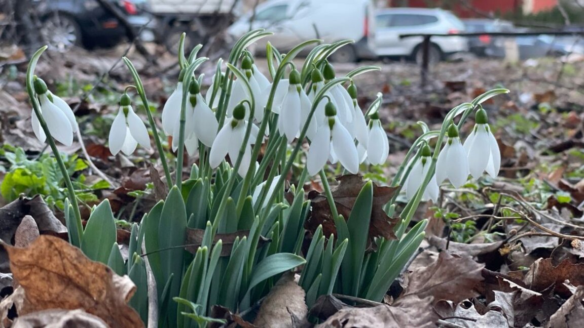 Wettervorhersage für Dienstag, den 27. Februar