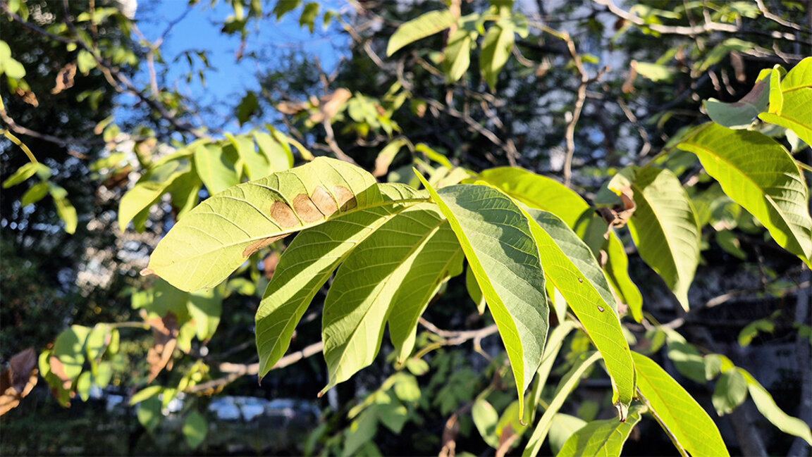 Sunshine, high temperatures on Wednesday