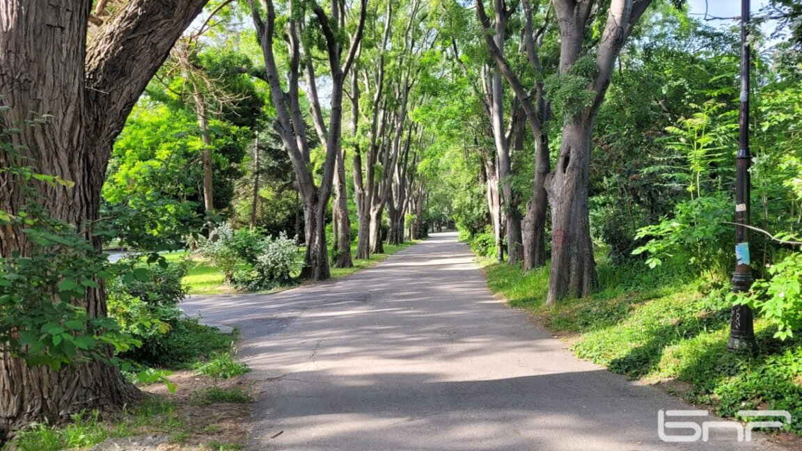 Варна, Морската градина