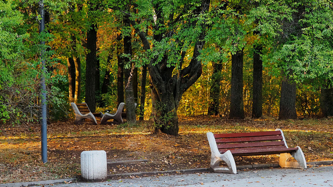 The weather over the weekend will be changeable with clouds, rain and sun