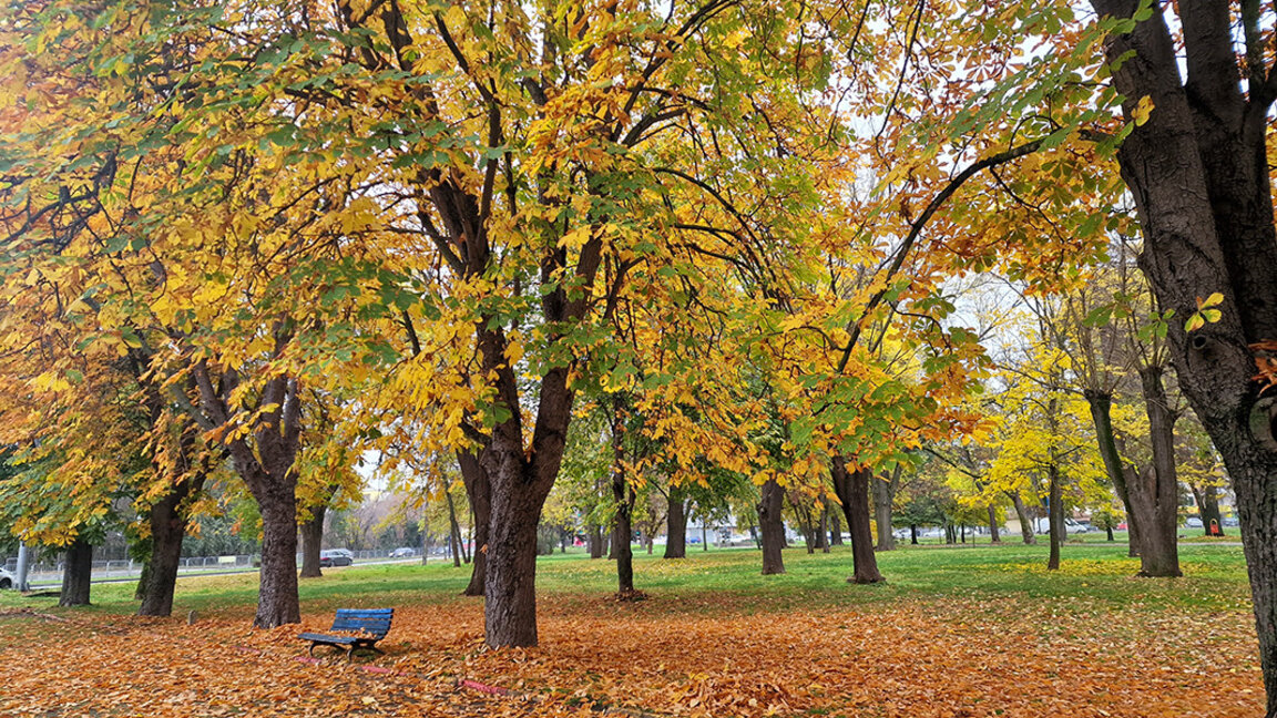 Временска прогноза за уторак, 18. новембар