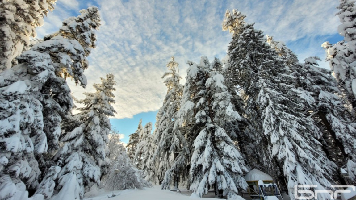 Рила планина