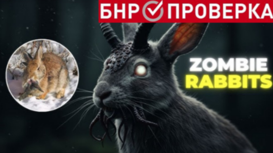 Как социалните мрежи вдъхнаха живот на зомбита - зайци, елени, катерици?