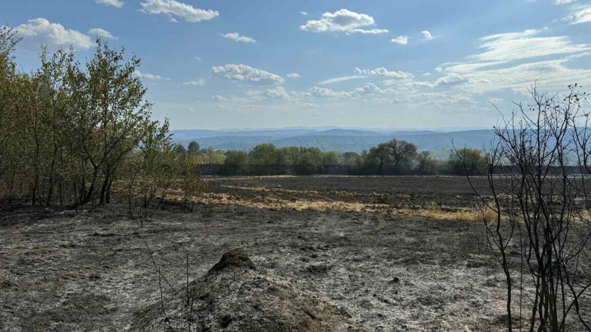 Après les incendies et la sécheresse viennent les inondations : que faire en termes de prévention ?
