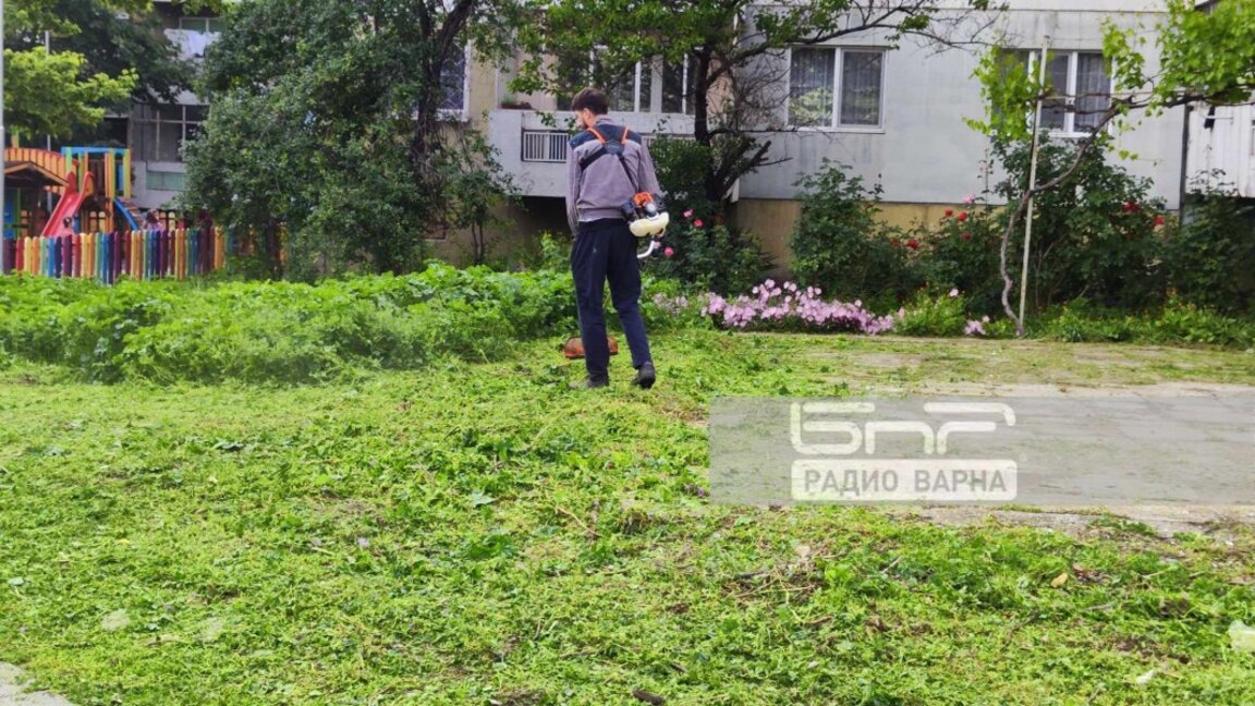 Район "Приморски" с график на терените за косене на тревните площи