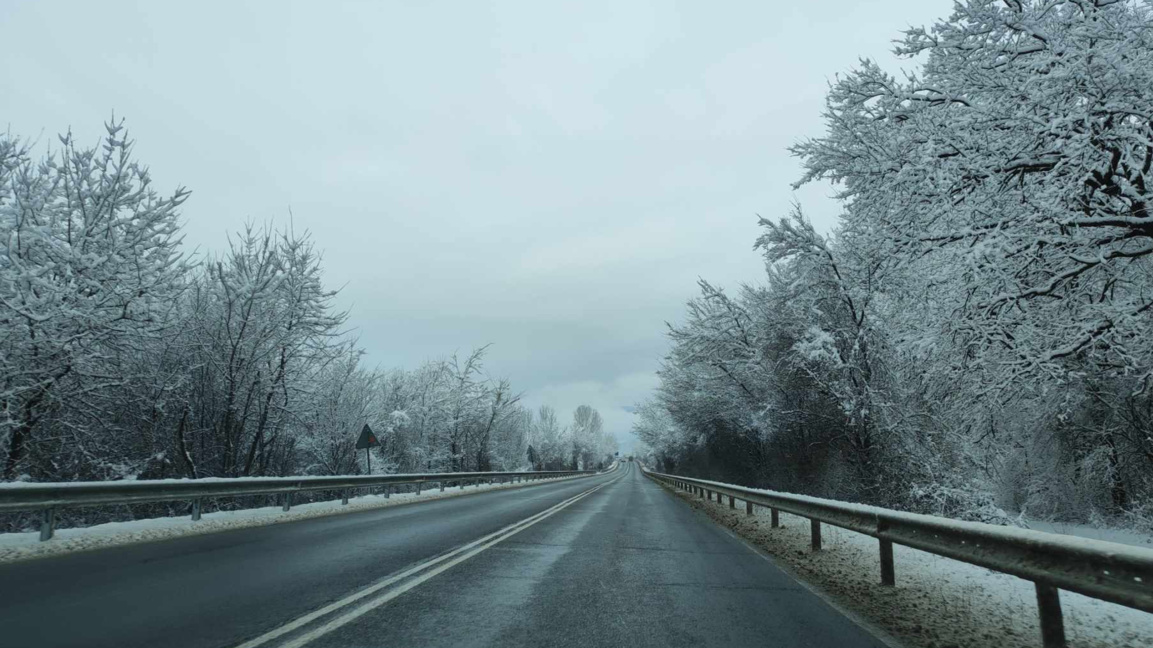 „Посоките на деня“ с Латинка Павлова