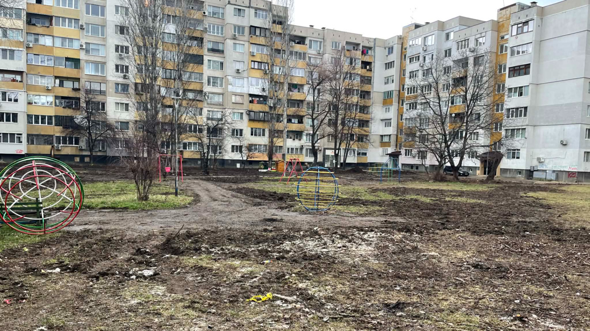 След ремонта на "Топлофикация": Засаждат 632 фиданки в "Дружба-2"