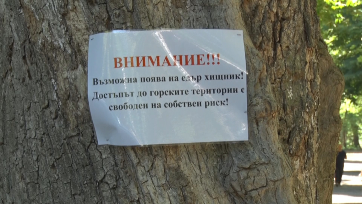 Бизнесът иска компенсации заради издирването на черния леопард