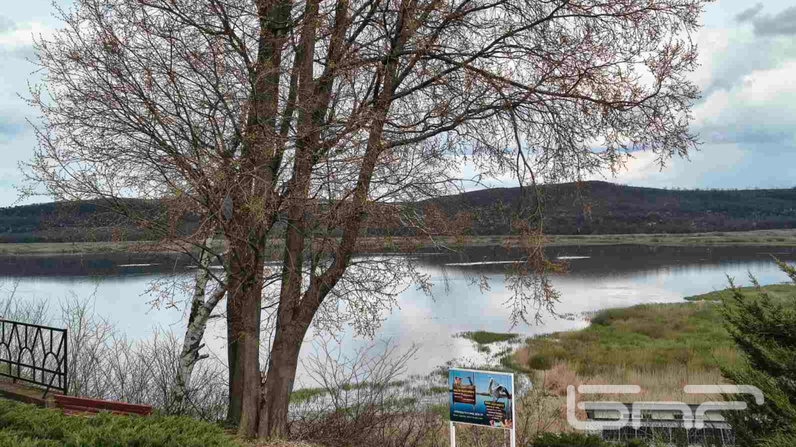 Резервата "Сребърна"