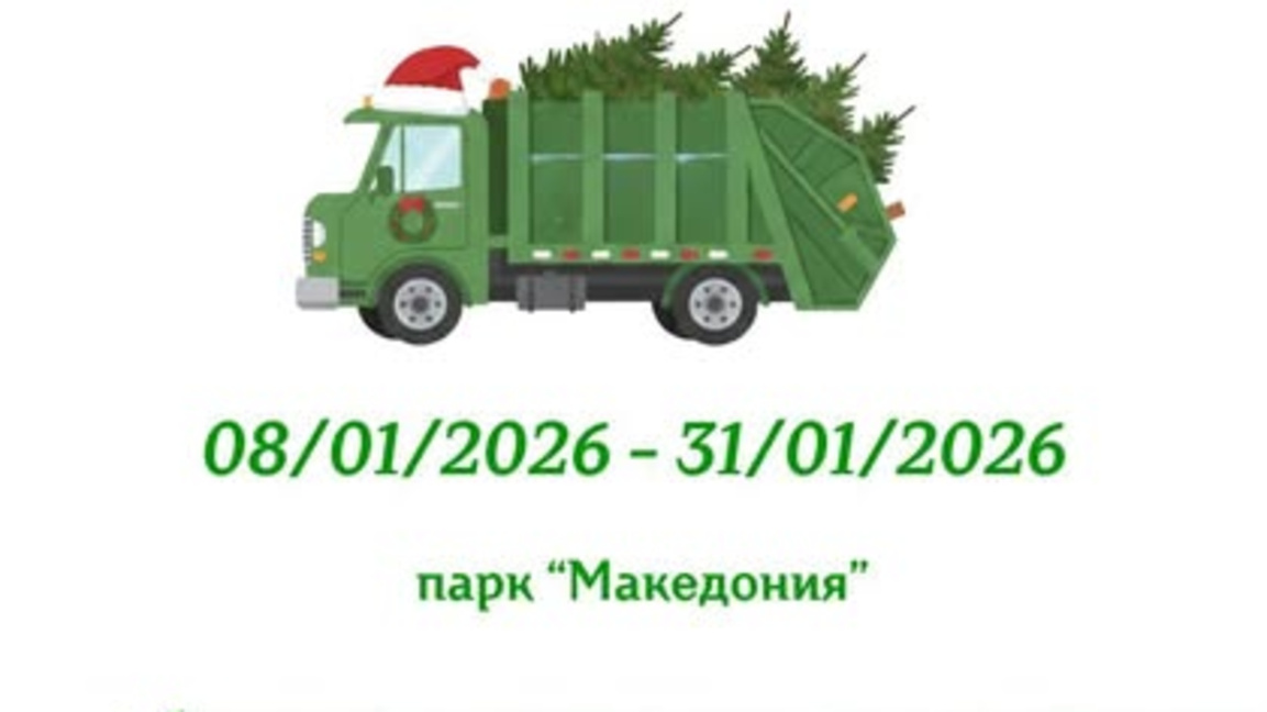 Дайте втори живот на зелените елхи