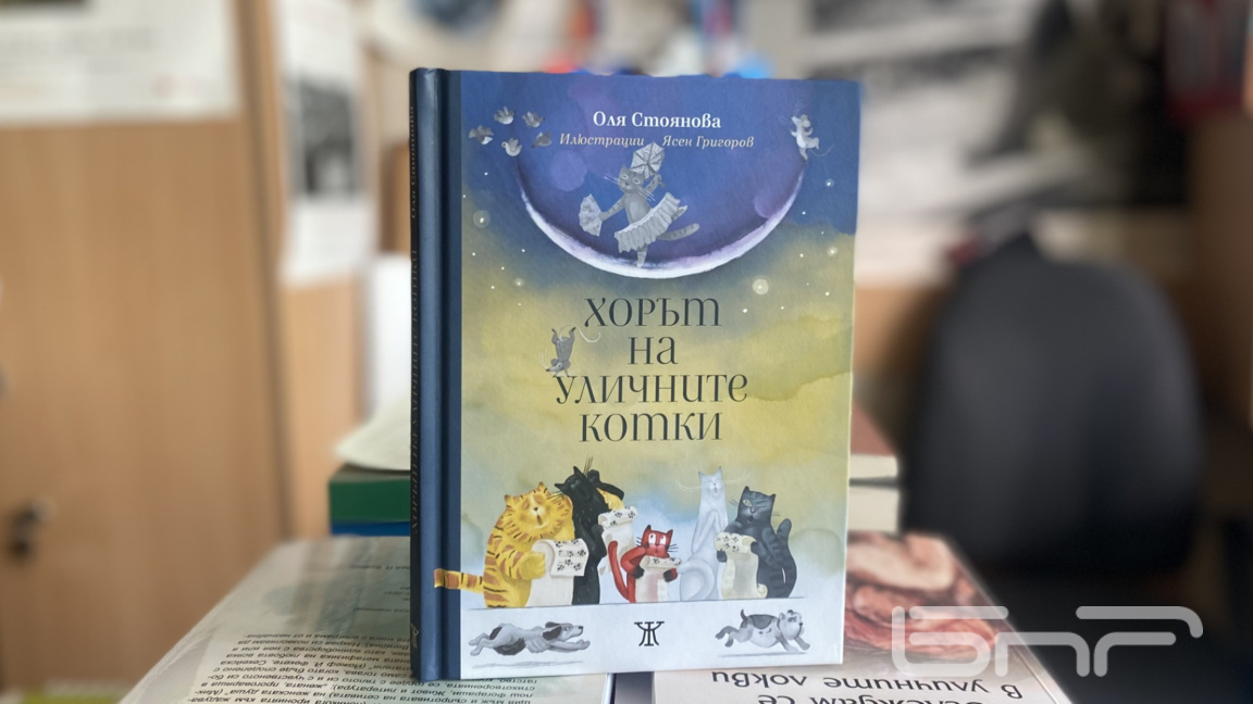 Детската книга "Хорът на уличните котки" от Оля Стоянова
