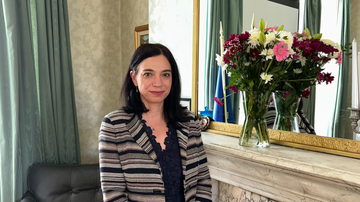 Посланикът ни в Дъблин Ваня Андреева