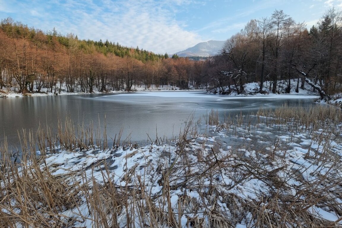 Parashikimi i motit për 20 marsin