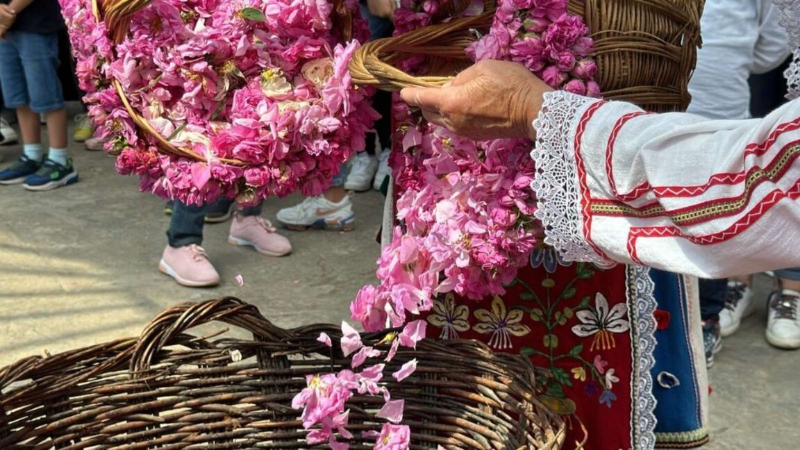 Kazanllëk është i mbushur me të ftuar për Festën e Trëndafilit