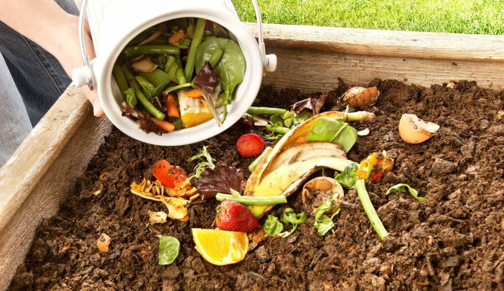 Компостирование – «зеленый» пиар или реальные перемены?
