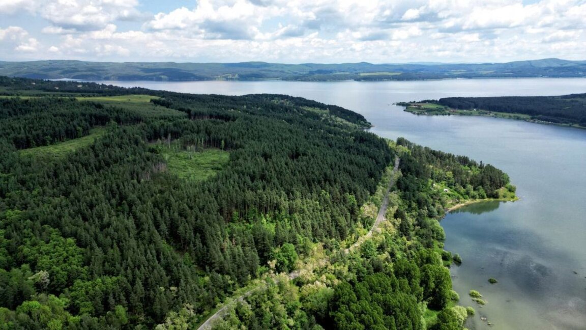 Erste Aprilwoche ist dem Wald gewidmet