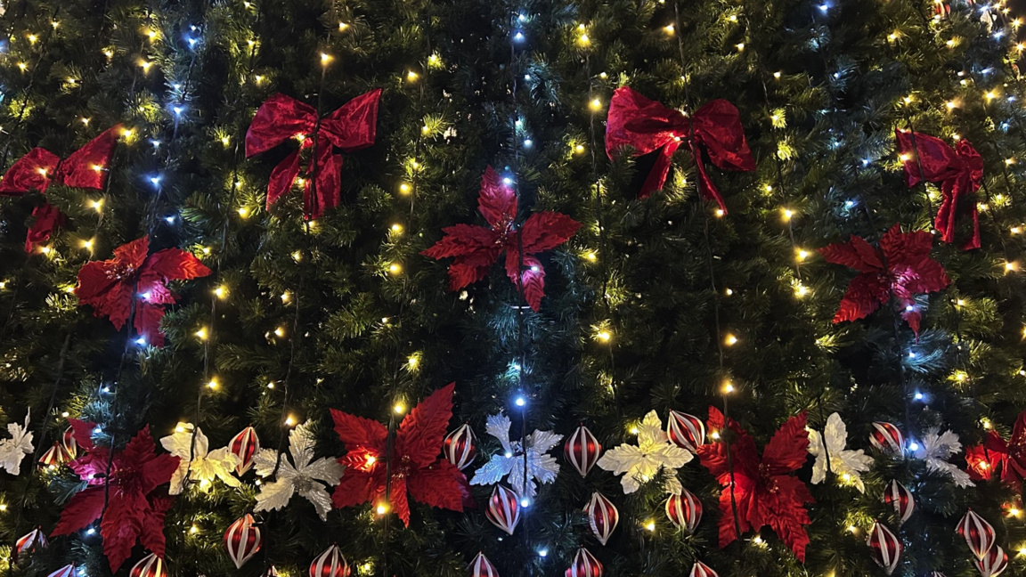 Burrat e parë të shtetit uruan bullgarët me rastin e Lindjes së Krishtit