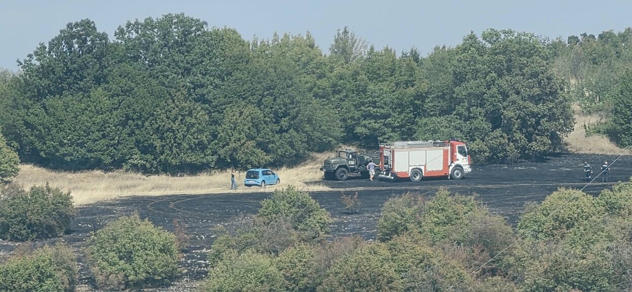 Пожар обхвана над 180 дка гора и поляни край село Беляковец и Велико Търново