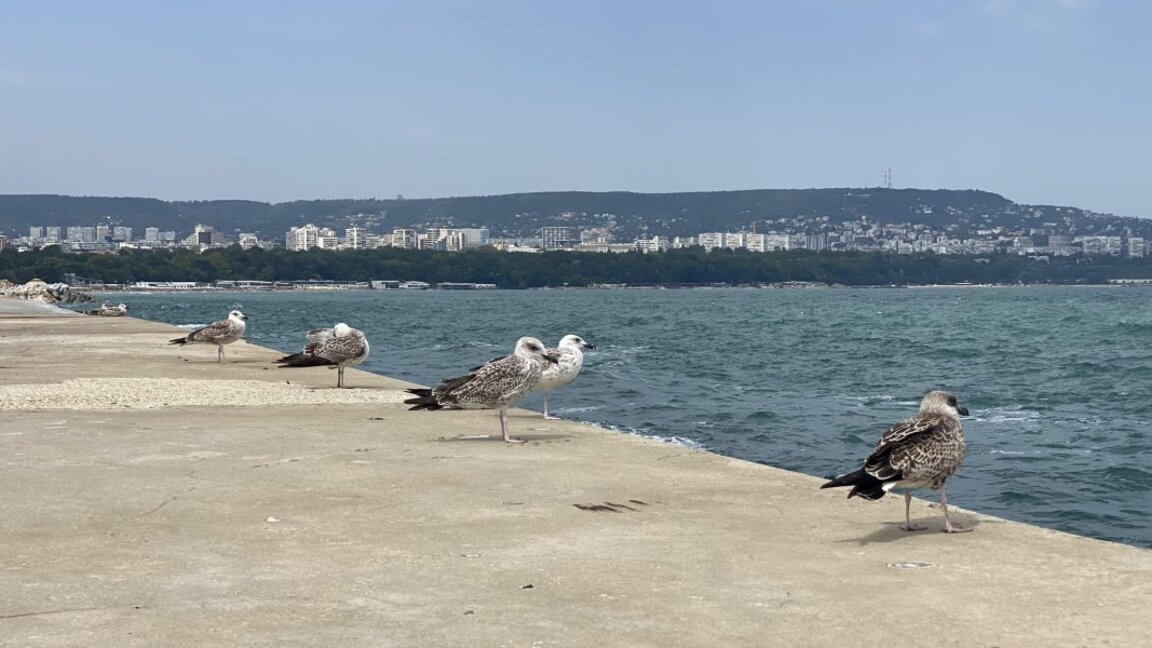 Πρόγνωση του καιρού